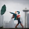 Seattle, WA - Angelica Generosa